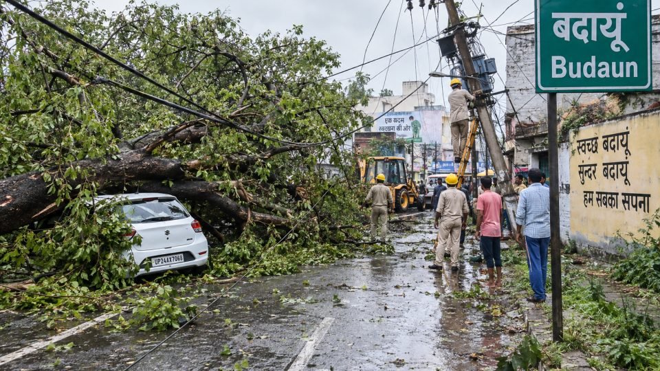 बदायूं में आंधी बारिश के बाद गिरा पेड़